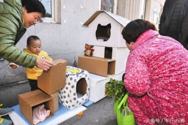 小伙到杭州一天抓12-15斤知了