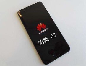华为手机系统怎么装