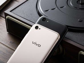 怎么用vivo手机找华为手机