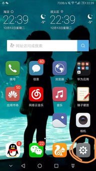 华为手机怎么变大小
