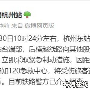杭州东站有人跳入股道被撞 官方通报