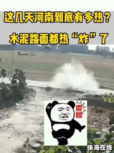 河南有水泥路热“炸”了