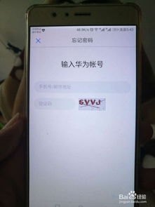 华为手机怎么获取密码