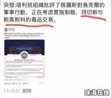 运输机坠毁致74人遇难 俄发表声明