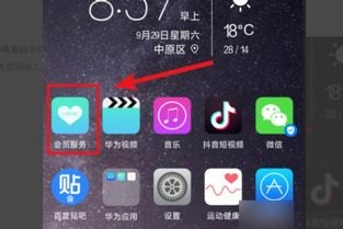 华为手机怎么正品验证