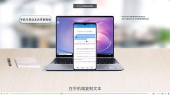 华为手机怎么测试电脑