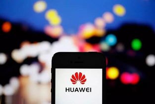 华为手机厂商怎么查