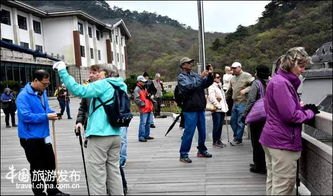 在意大利被洗劫一空旅行团游客发声