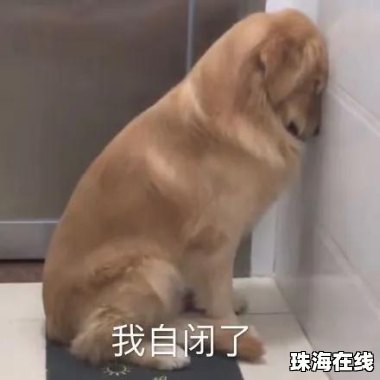 司法部门回应金毛疑蹭空调被打死