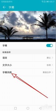华为手机怎么加载字幕