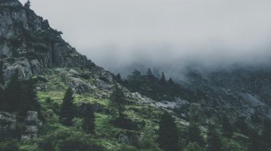 华为手机怎么抓拍风景