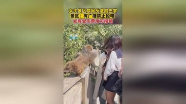 女生投喂黔灵山猴子被扇巴掌