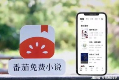 华为手机番茄小说怎么