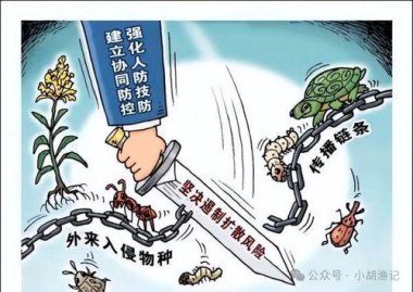 多名在编人员被清退 牵出跨省作弊链