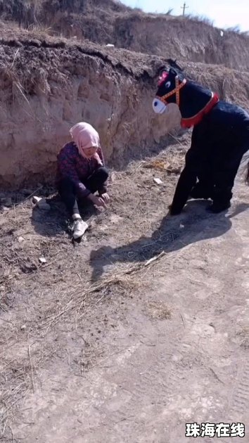 华为手机怎么还回桌面