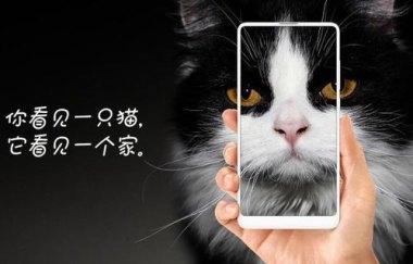 这个夏天商场靠孩子续命