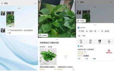 华为手机怎么组织插件