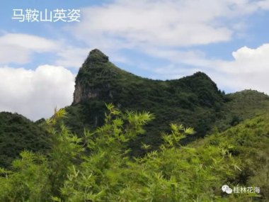 暑期去收集中国限量版地貌