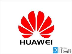 华为手机怎么识别篆体