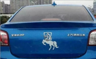 车主脑洞大开贴透明车衣养鱼