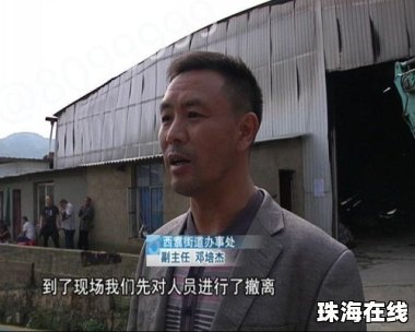 网红律师西绿已被刑拘
