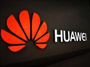 华为手机vx怎么用
