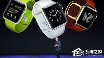 paywatch怎么绑定华为手机 paywatch怎么绑定华为手机