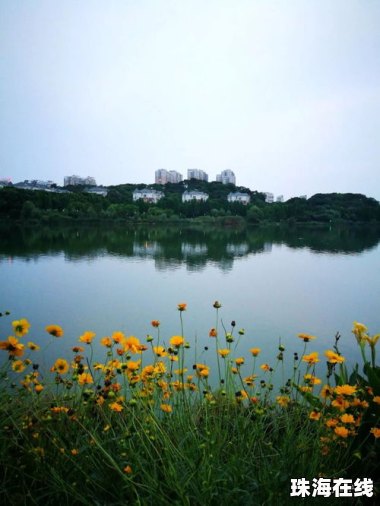 华为手机怎么拍晚景