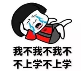 怎么学完胖东来亏得更多了