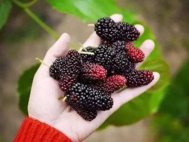 华为手机怎么调节桌面