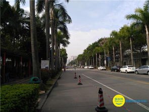 华为手机怎么拍摄马路