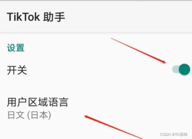 华为手机怎么下tiktok