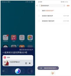 华为手机怎么运行vivo手机助手