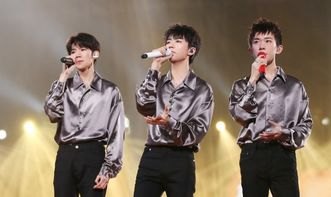 F4在五月天演唱会合唱《流星雨》