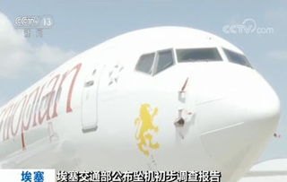 印度空难初步调查聚焦飞行员操作