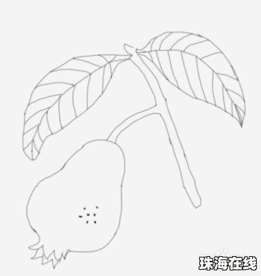 华为手机图片怎么画