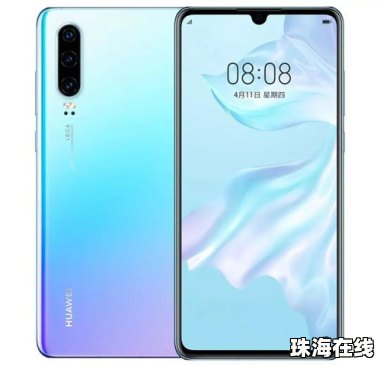 华为手机怎么下载pro
