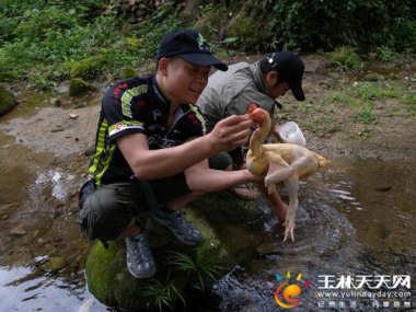 怎么默认桌面华为手机