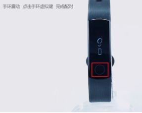 华为手环怎么手机连接 华为手环怎么手机连接