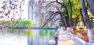 华为手机怎么拍水景