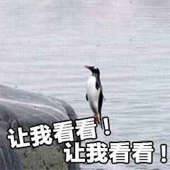 男子加拿大考公上岸：这里也卷