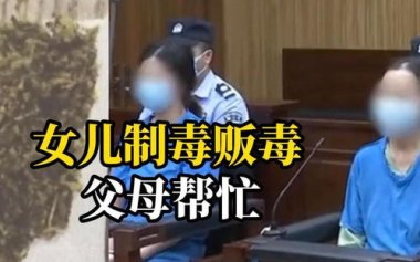 大厂程序员被裁后制毒贩毒获刑