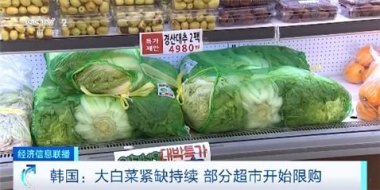 韩国高温致大白菜价格暴涨