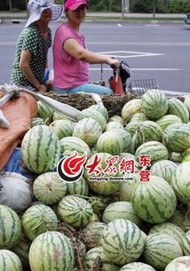 韩国一个西瓜涨到156元