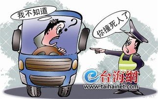律师称被落石砸车家属索赔并无不妥