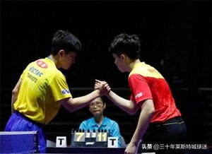 张本智和对阵王楚钦已8连败
