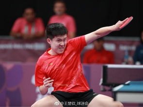 张本智和对阵王楚钦已8连败