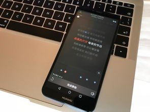 华为手机怎么没有回音