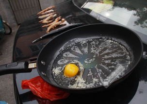 郑州路面超72℃记者现场煎蛋烤虾