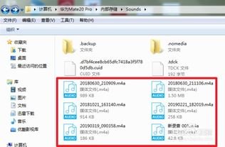 华为手机音频怎么导出